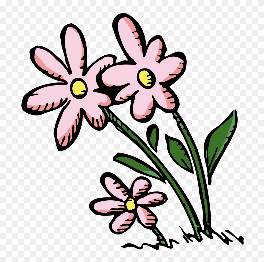 Clip Art - Png Download