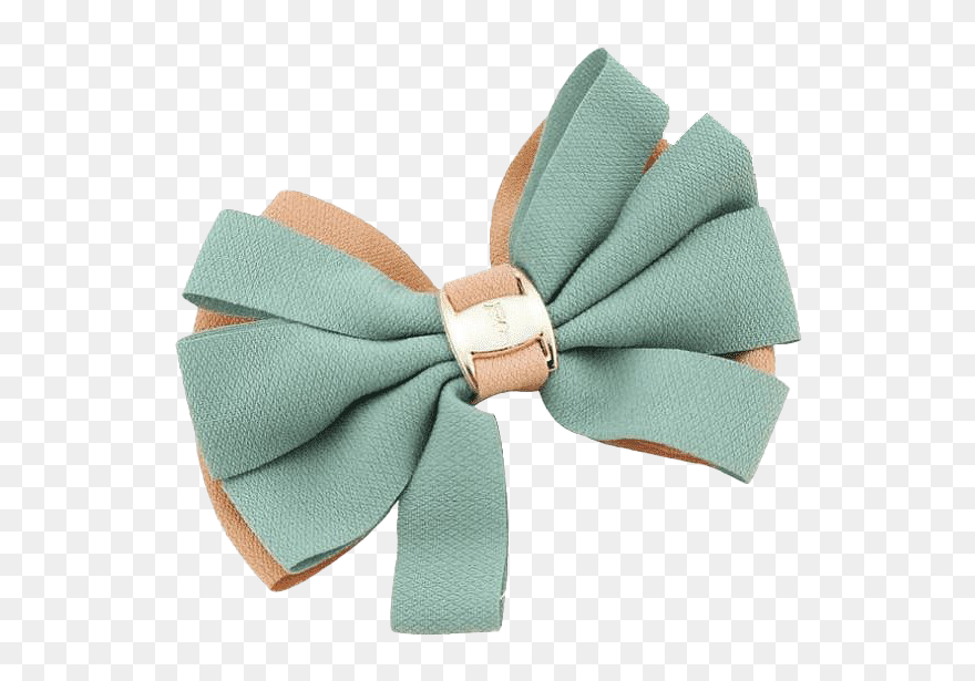 Womens Fashion Accessories Png Clipart - Head Accessories Png Transparent Png