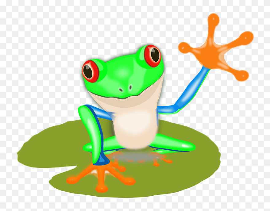 Frog On Leaf Clipart - Costa Rica Frog Clip Art - Png Download