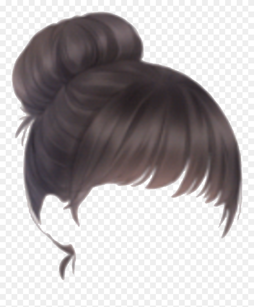 Hair Bun Png Clipart Free Download - Bun Hair Png Transparent Png