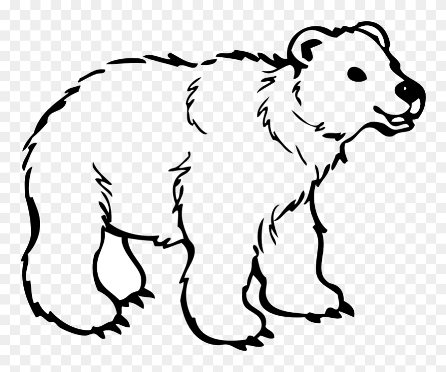 Polar Bear American Black Bear Brown Bear Drawing - Bear Clipart Black And White Outline - Png Download