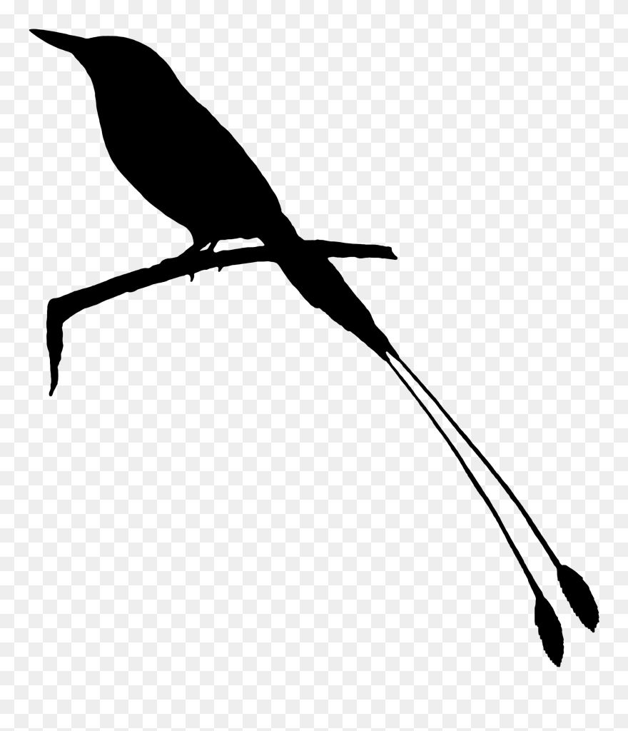 Beak Clip Art Fauna Feather Silhouette - Raven - Png Download