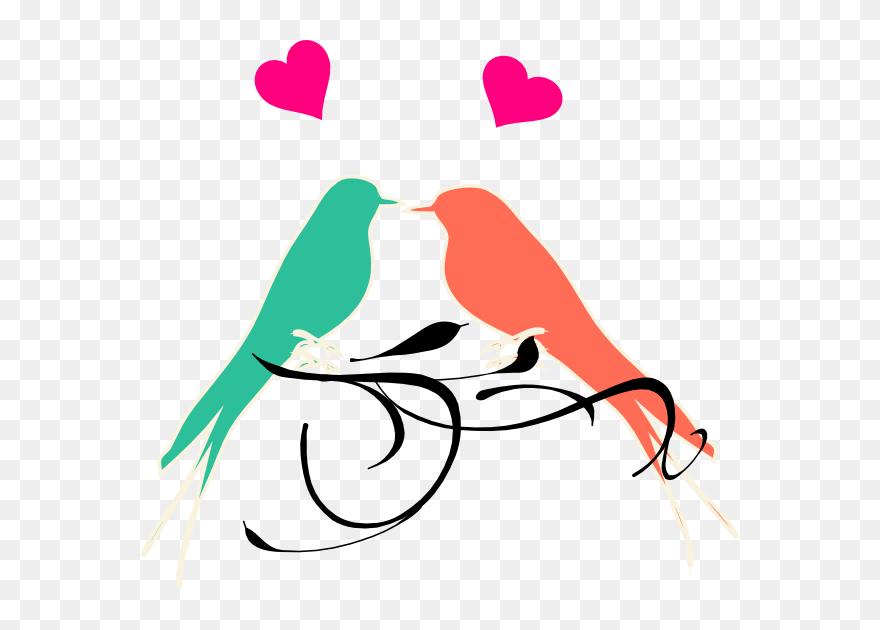 Outline Drawing For Birds Clipart