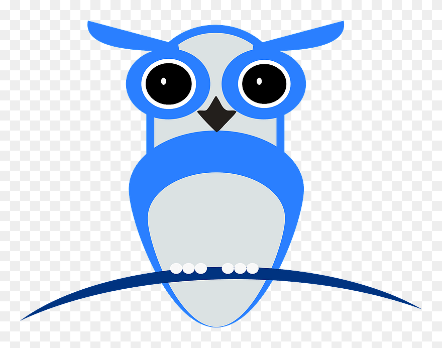 Owl On Branch Clipart - Png Download