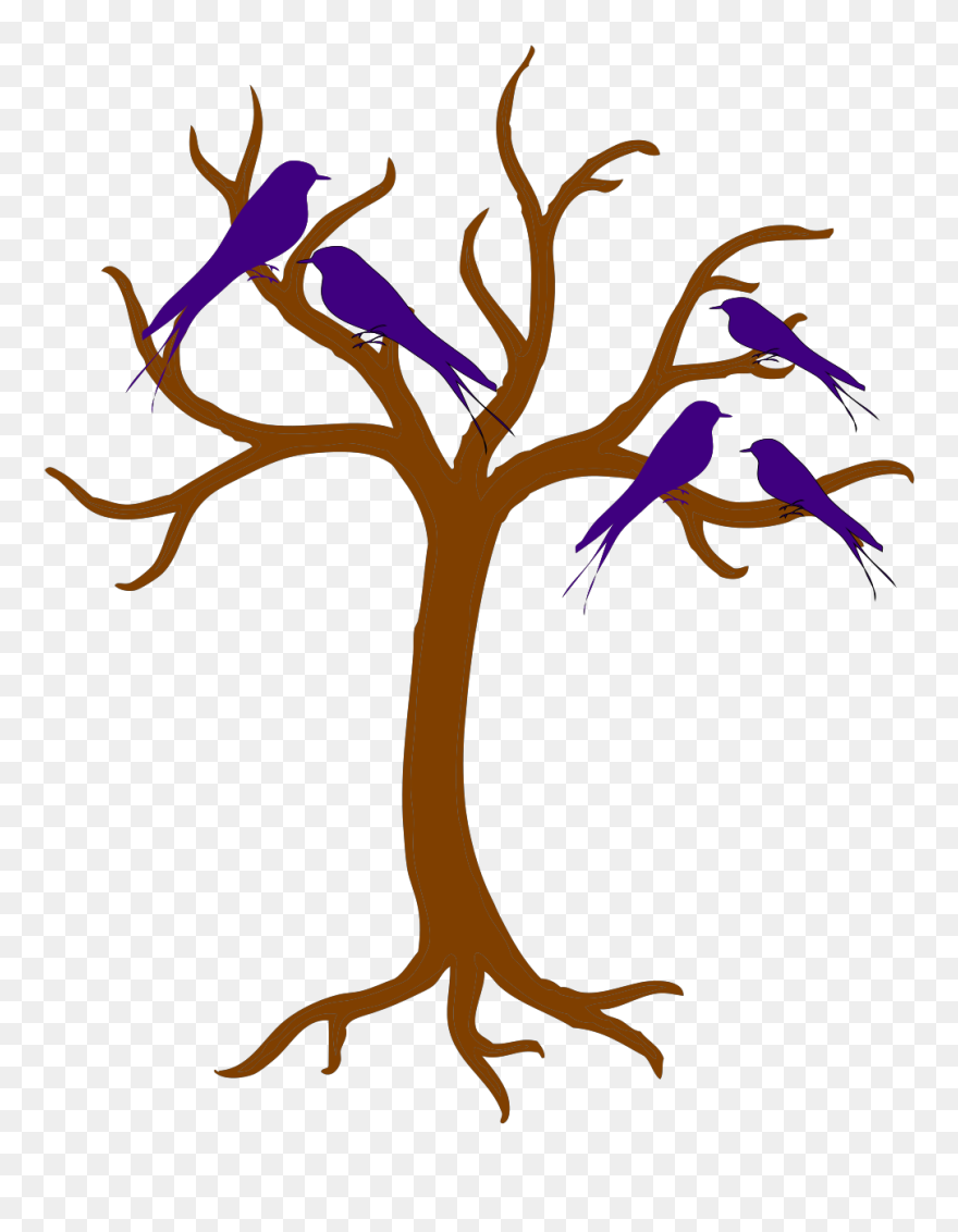 Tree With No Leaves Drawing Clipart