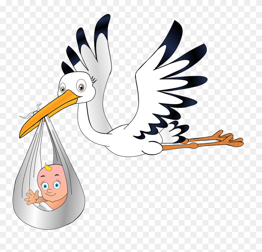 Stork Baby Coloring Pages Clipart