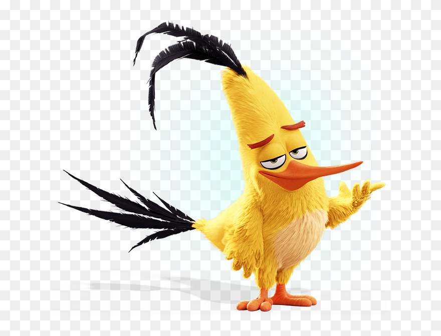 Animated Bird Gif Transparent Clipart