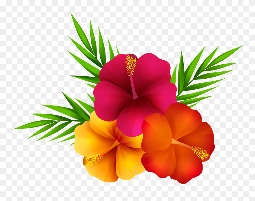 Clipart Flower Images Png - Transparent Background Tropical Flower Clipart