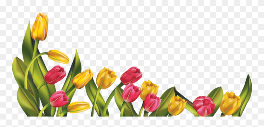 Alice In Wonderland - Spring Flowers Border Clipart Free - Png Download