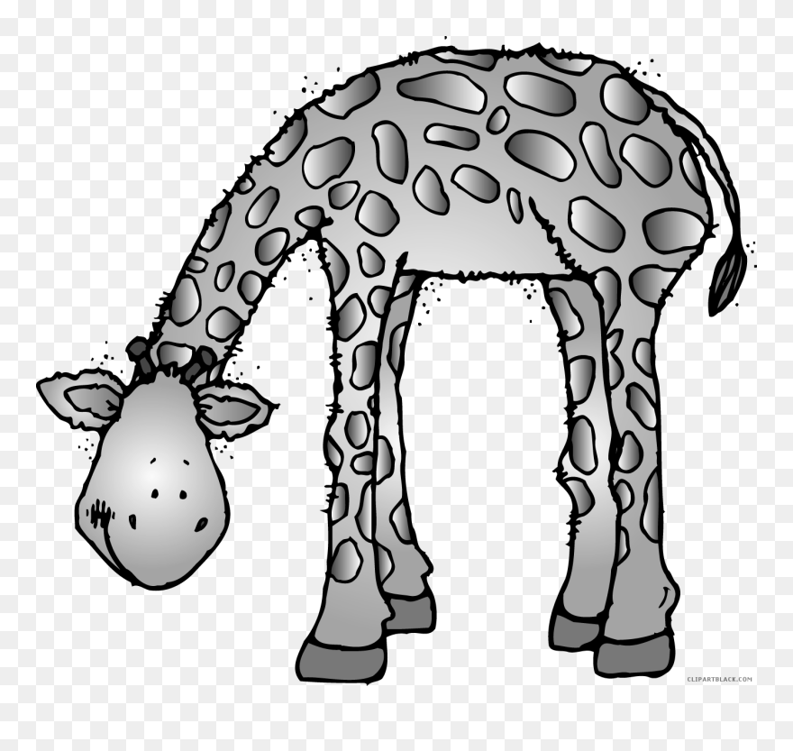 Crocodile Clipart Black And White - Clipart Zoo - Png Download
