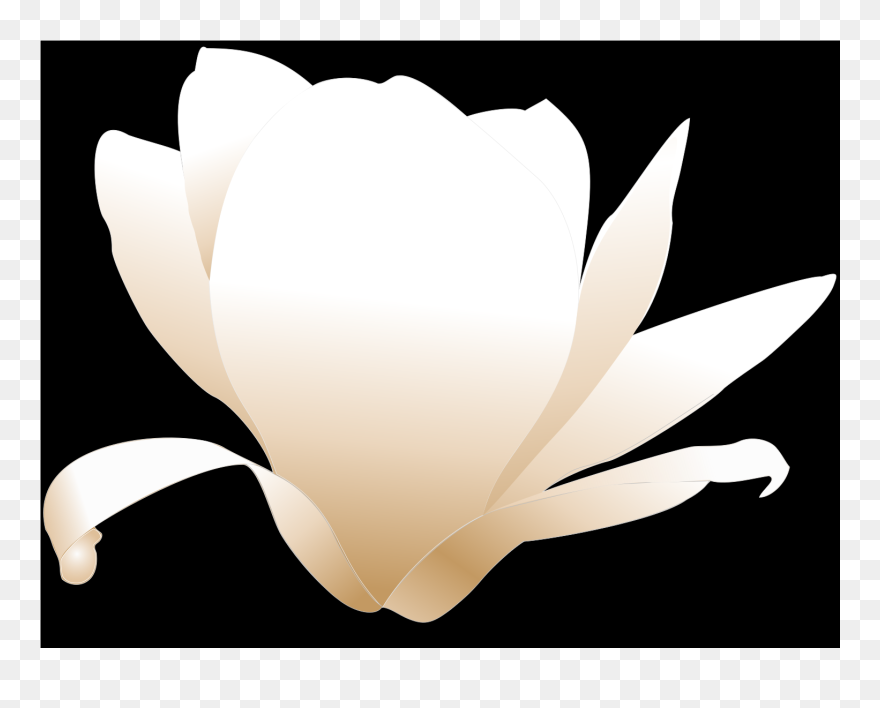 Magnolia Clip Art - Png Download
