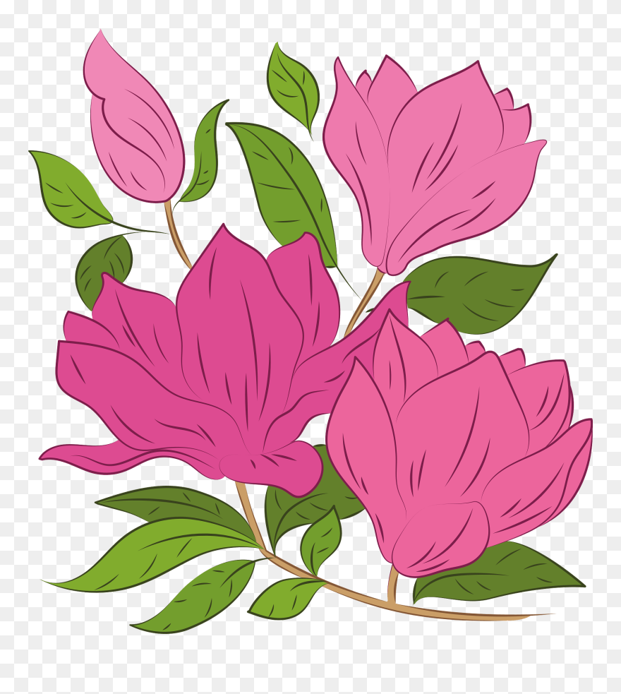 Clip Art - Png Download