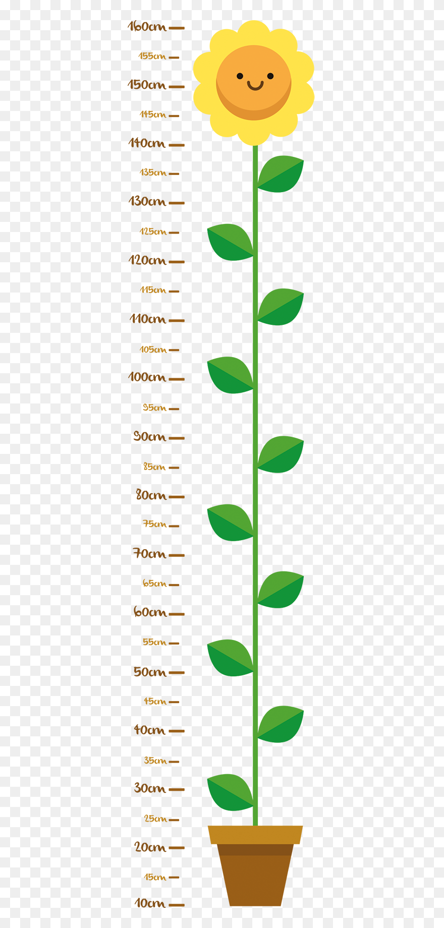 Flower Decal Clipart Clip Art Library Stock Child Flower - Height Measurement - Png Download