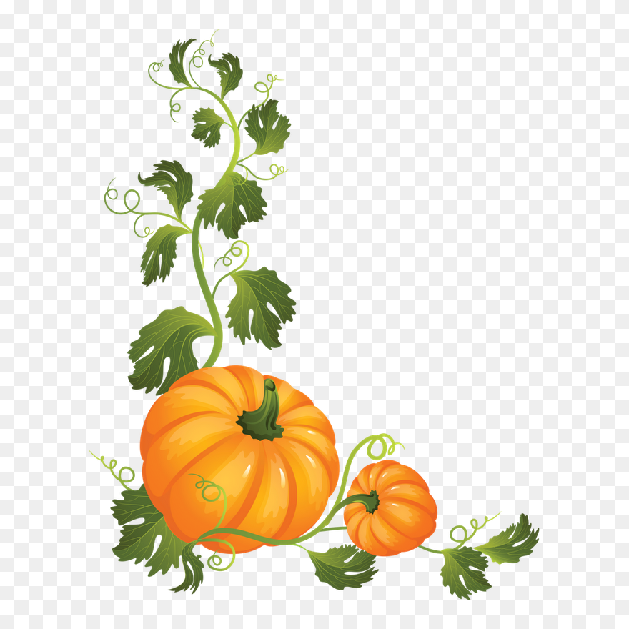 Clipart Pumpkin Vines - Png Download