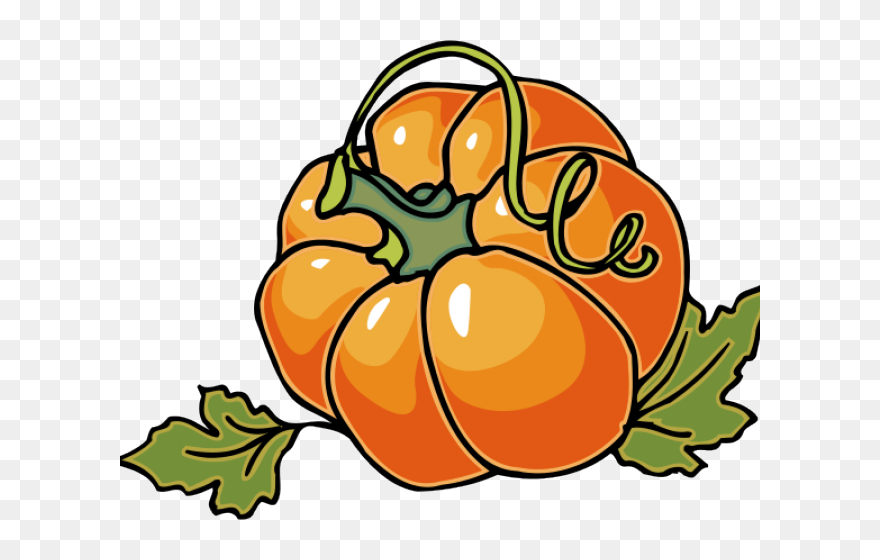 Pumpkin Vine Clipart - Autumn Clip Art - Png Download
