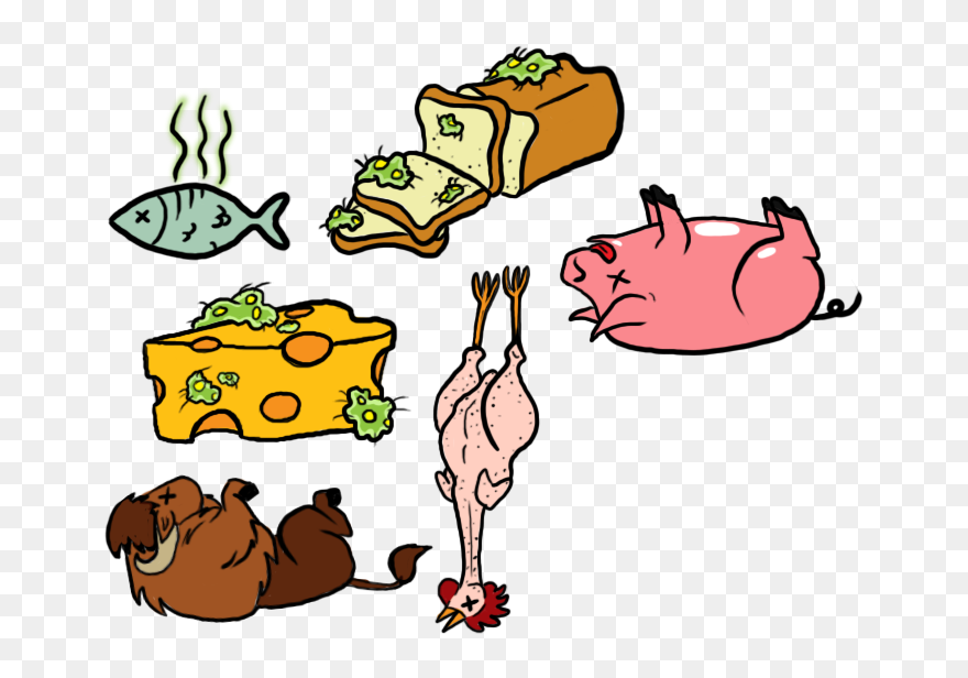 Download Free Png Food Spoilage Reminder Magnets By - Food Spoilage Png Clipart