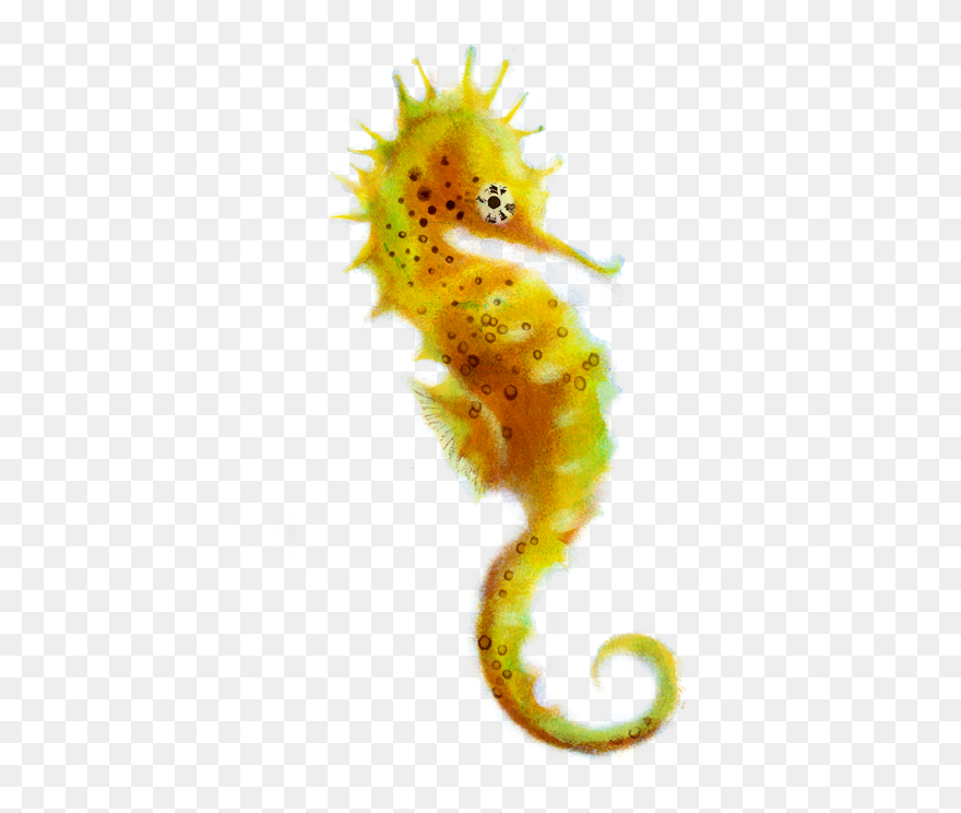 Seahorse Clip Art - Clipart Seahorse Transparent Background - Png Download