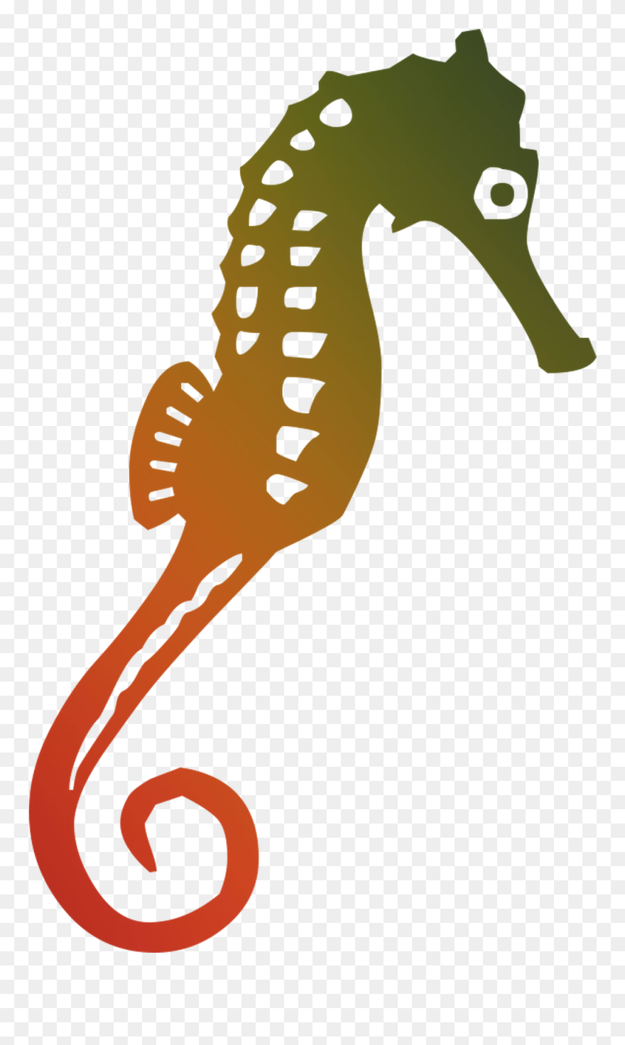 Seahorse Illustration Graphics Free Hq Image Clipart - Seahorse Graphic - Png Download