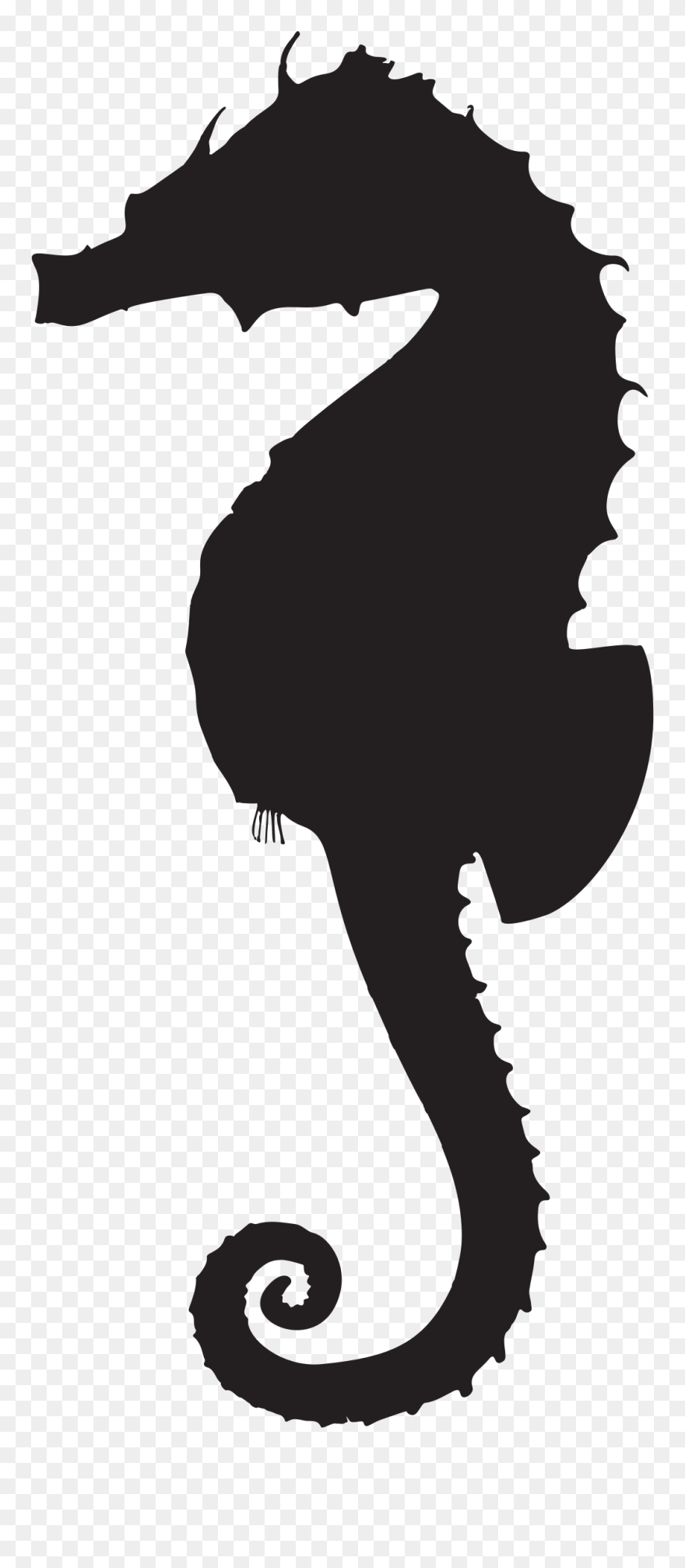 Clipart - Silhouette Seahorse Png Transparent Png