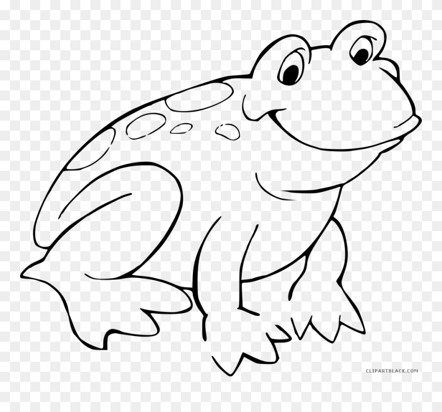 Black And White Frog - Colouring Picture Of A Frog Clipart
