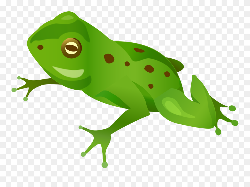 Green Frog Png - Vector Frog Png Clipart