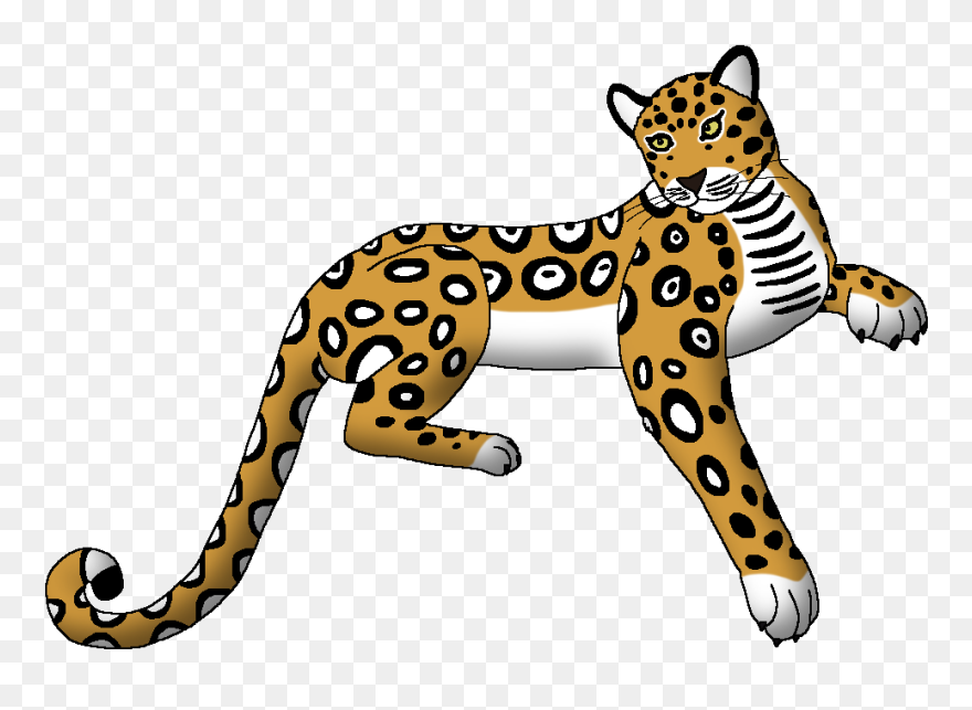 Wildlife Animal Pedia Wiki Clipart