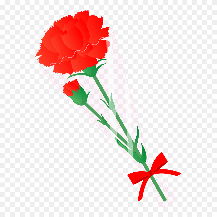 Carnation Flower Clipart - Carnation - Png Download