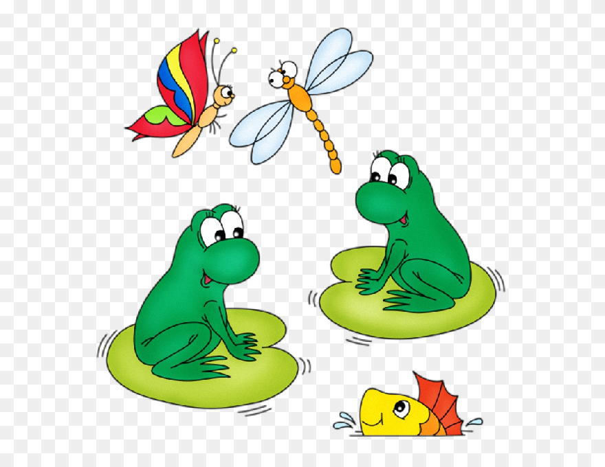 Red Eyed Tree Frog Clipart Clipart Library Download - Clipart Lily Pads And Frogs - Png Download