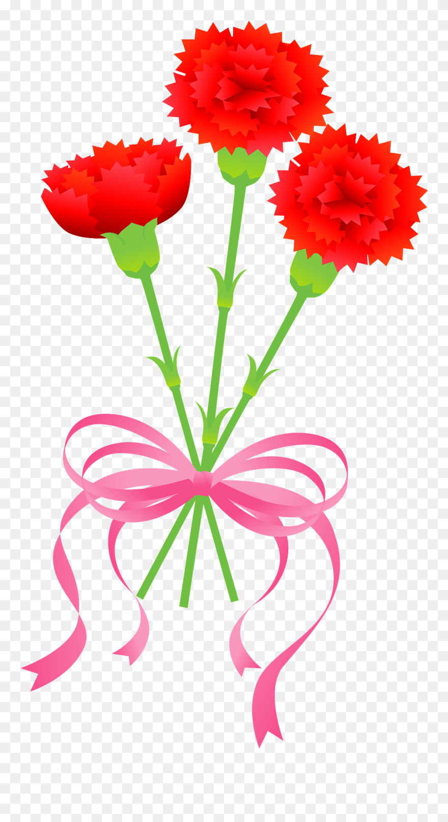 Carnation Flower Clipart - 5 月 の 花 イラスト 無料 - Png Download