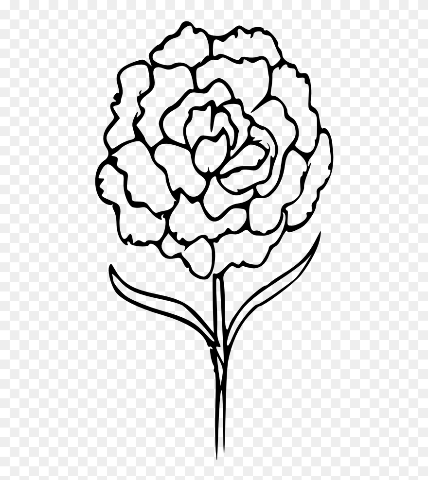 Transparent Carnation Clip Art - Outline Of Carnation Tattoo - Png Download