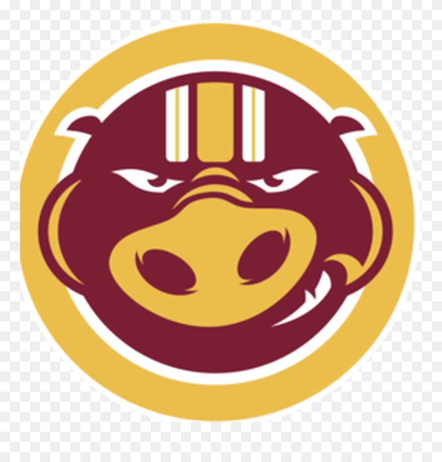 Jason Campbell Probably Out For The Season - Hogs Clipart