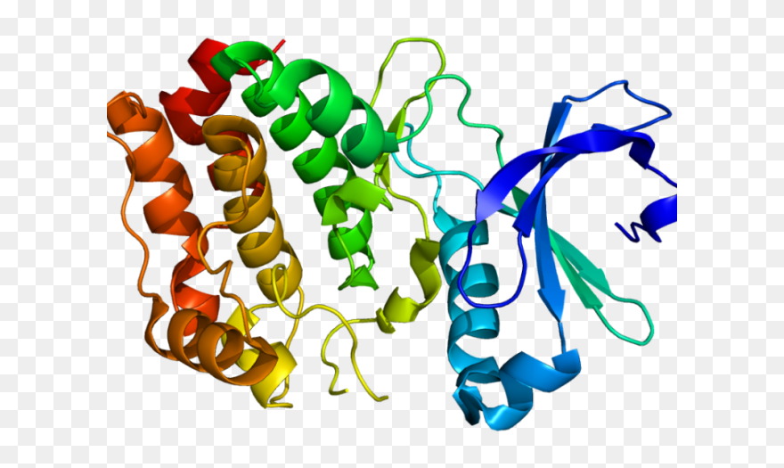 Proteins Molecule Clipart (5383075) PinClipart