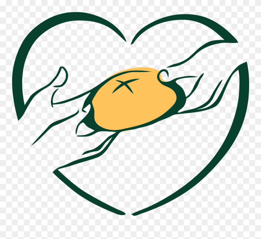 Clip Art - Png Download