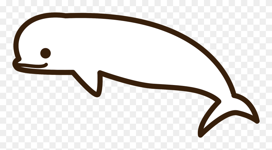 Beluga Whale Clipart - Png Download