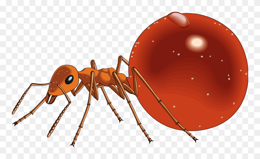 Free Vector Insect - Honeypot Ant Png Clipart
