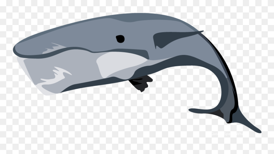 Illustration Clipart