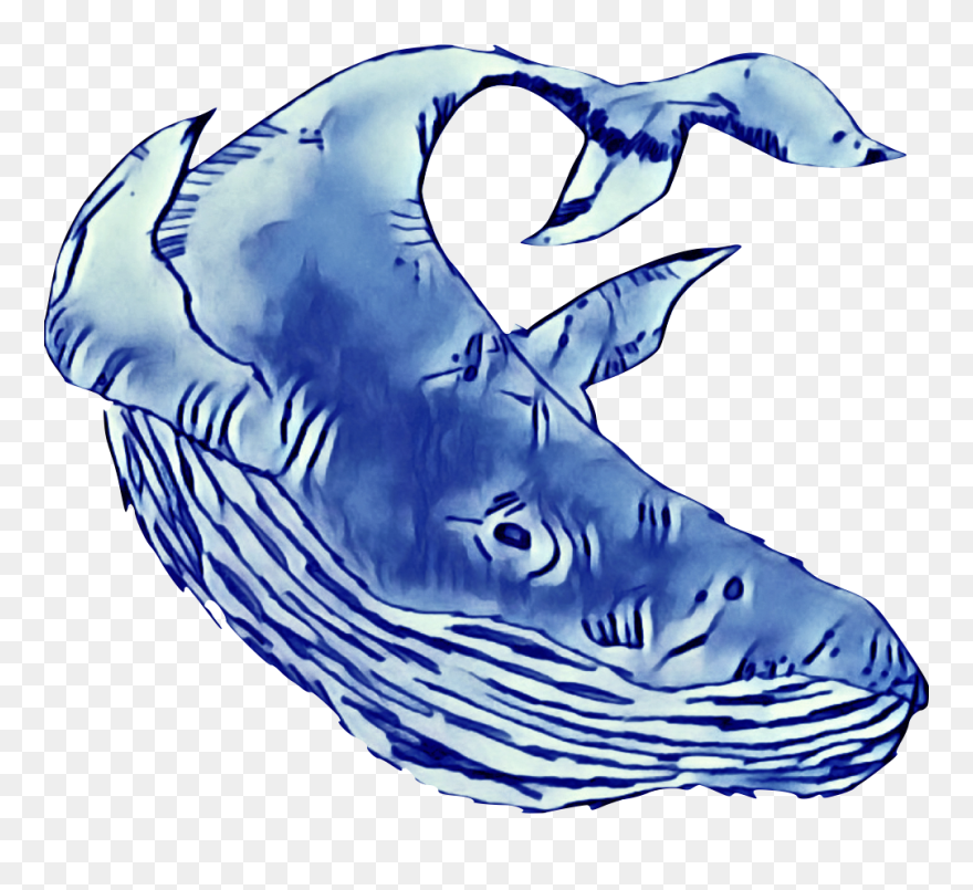 Blue Whale Trading Company Clipart
