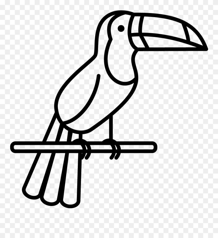 Amazon Rainforest Animals Drawings Clipart