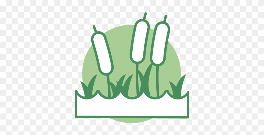 Wetlands Png Clipart