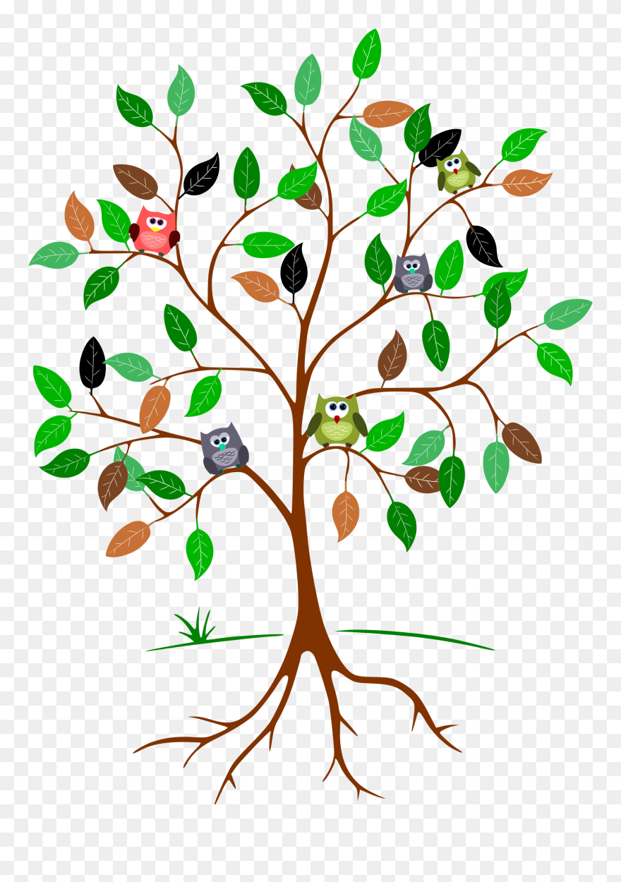 Owls In A Tree Clip Arts - Aesthetic Tree Clipart - Png Download