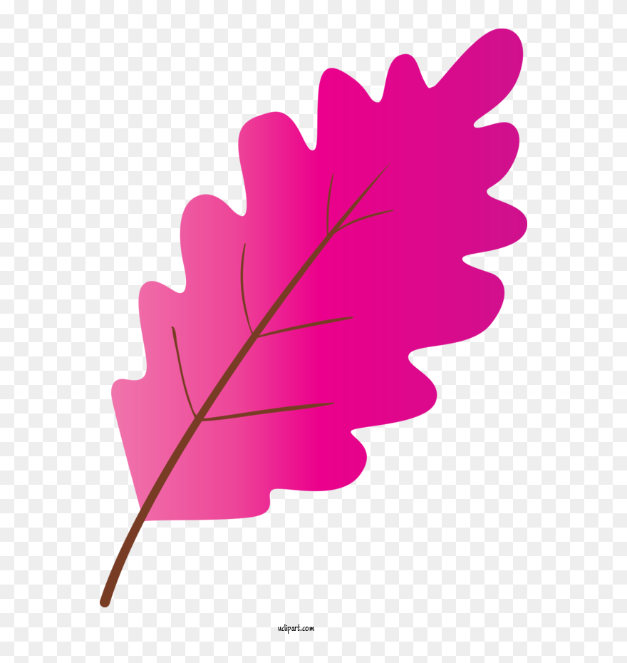 Transparent Nature Leaf Pink Plant For Leaf For Nature - Graphic Design Clipart