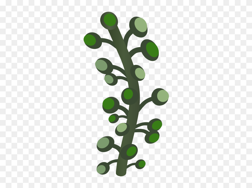 Firebog Underground Bogwillow Clipart