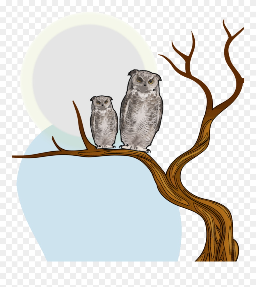 Illustration Clipart
