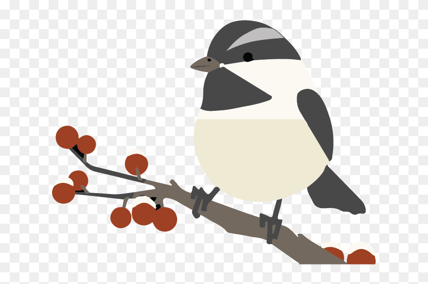 Chickadeeonbranch-01 - Clip Art - Png Download