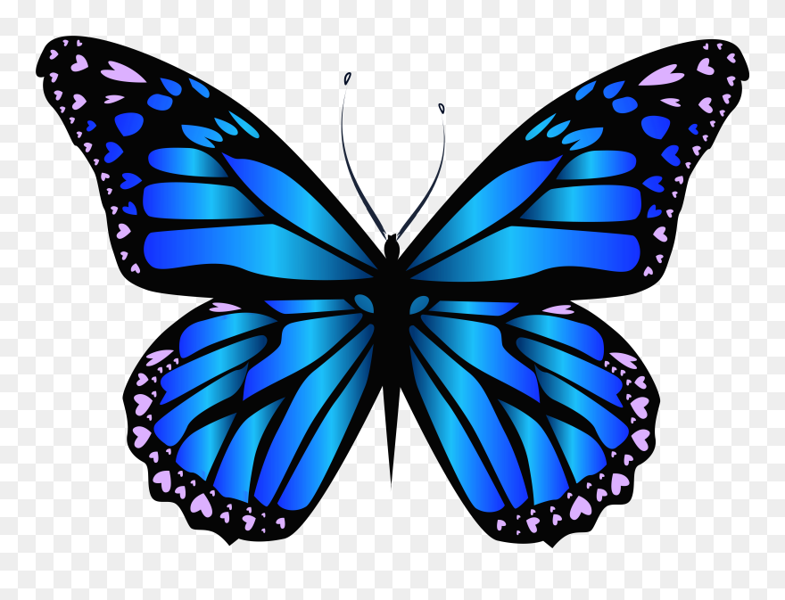 Butterfly Clipart - Png Download