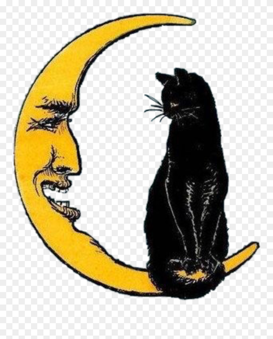 Moon - Grunge Cat Drawing Clipart