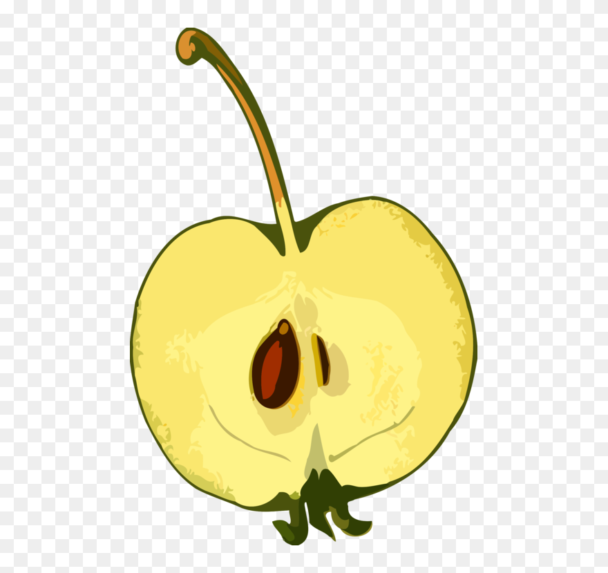 Plant,flower,apple - Semente Da Maça Png Clipart