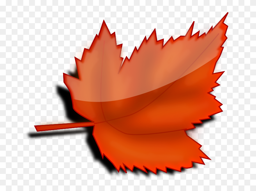 Autumn Leaf Transparent Background Clipart