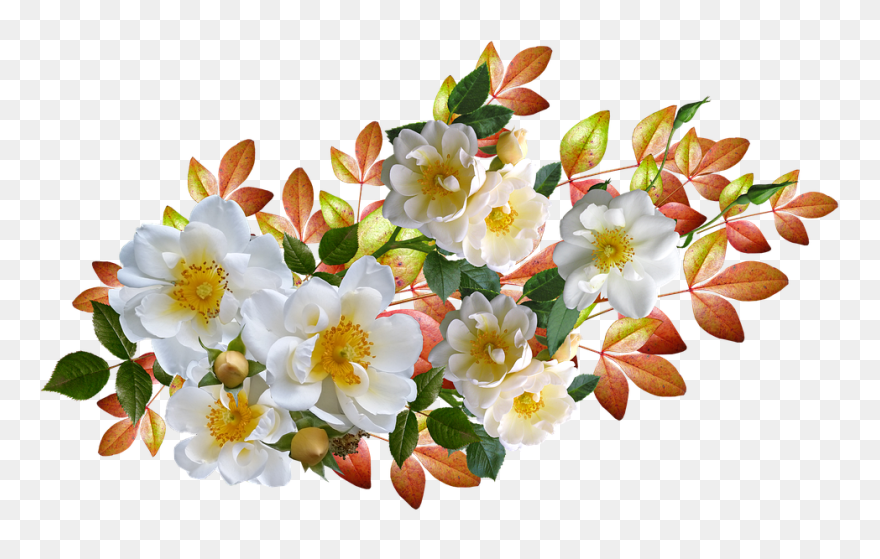 Frases Feliz Dia De San Valentin Clipart