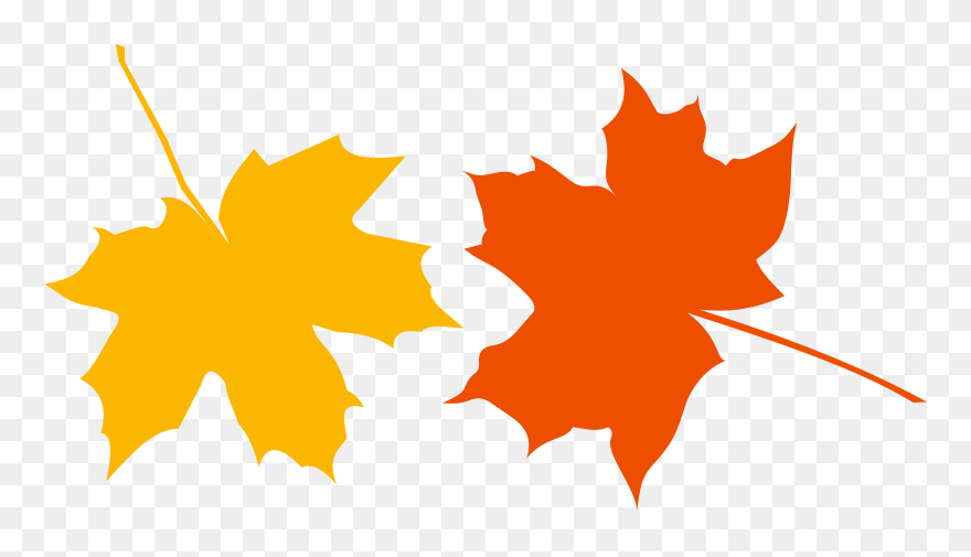 Autumn Ladies And Gentlemen Clip Arts - Maple Leaves Vector Png Transparent Png